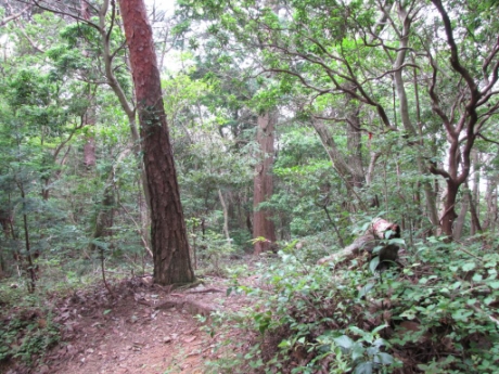 画像9